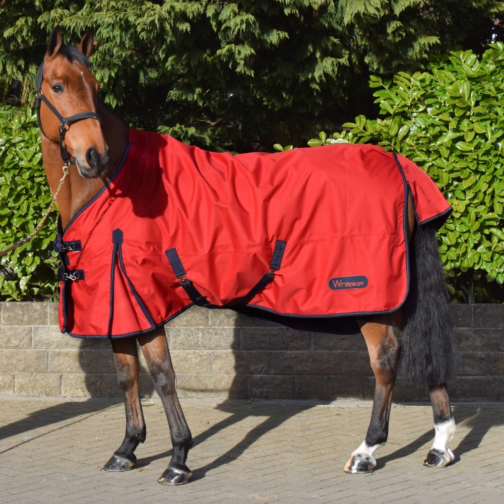 Whitaker Rastrick Turnout Rug 100g Red